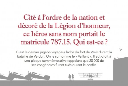 Pigeon_decore.jpg, oct. 2013 Pigeon_decore.jpg