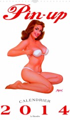 Pin_up_calendrier_2014.jpg