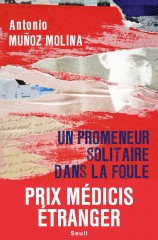 Un promeneur solitaire dans la foule.jpg